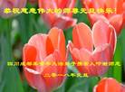 ֹ,ɶ󷨵ӹףʦ(23)