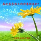 Published on 1/1/2018 ���ֹ�,��½�󷨵��ӹ�ףʦ�������(25��)