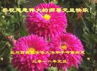 ֹ,󷨵ӹףʦ(22)