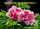 Published on 1/1/2018 ���ֹ�,��½�󷨵��ӹ�ףʦ�������(40��)