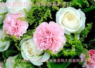 ֹ,󷨵ӹףʦ(26)