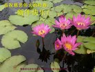 Published on 1/1/2018 ���ֹ�,���������˹�ףʦ�������(27��)
