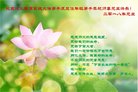 Published on 1/1/2018 ���ֹ�,��½�󷨵��ӹ�ףʦ�������(33��)