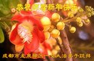 ֹ,ɶ󷨵ӹףʦ(18)