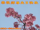 Published on 5/13/2018 ���ֹ�,��½�󷨵��ӹ������編�ִ�����ʦ�𻪵�(27��)