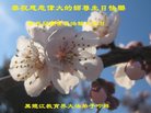 Published on 5/10/2018 ���ֹ�,����ϵͳ�󷨵��ӹ������編�ִ�����ʦ�𻪵�(20��)