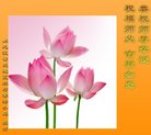 Published on 5/10/2018 ���ֹ�,���󷨵��ӹ������編�ִ�����ʦ�𻪵�(27��)
