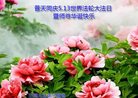 Published on 5/13/2018 ���ֹ�,��½�󷨵��ӹ������編�ִ�����ʦ�𻪵�(37��)
