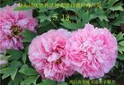 Published on 5/13/2018 ���ֹ�,��½�󷨵��ӹ������編�ִ�����ʦ�𻪵�(27��)
