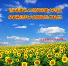 ���ֹ�,�����󷨵��ӹ������編�ִ�����ʦ�𻪵�(24��)