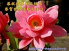 ֹ,󷨵ӹ編ִʦ𻪵(23)