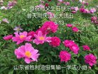 Published on 5/10/2018 ���ֹ�,����ҵ�󷨵��ӹ������編�ִ�����ʦ�𻪵�(33��)