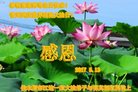 ֹ,ľ˹󷨵ӹ編ִʦ𻪵(21)