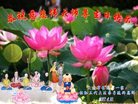 Published on 5/10/2018 ���ֹ�,��С���ӹ������編�ִ�����ʦ�𻪵�(21��)