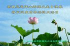 ֹ,ɶ󷨵ӹ編ִʦ𻪵(26)