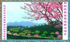 ֹ,Ĵ󷨵ӹ編ִʦ𻪵(19)