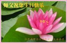 ֹ,մ󷨵ӹ編ִʦ𻪵(24)