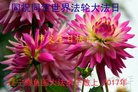 ֹ,󷨵ӹ編ִʦ𻪵(18)