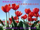 ֹ,󷨵ӹ編ִʦ𻪵(22)