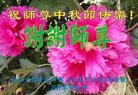 Published on 10/4/2017 ���ֹ�,��½�󷨵��ӹ�ףʦ�������(31��)