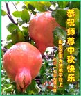 Published on 10/4/2017 ���ֹ�,��½�󷨵��ӹ�ףʦ�������(33��)