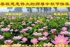 Published on 10/2/2017 ���ֹ�,���󷨵��ӹ�ףʦ�������(19��)