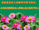 Published on 10/3/2017 ���ֹ�,��½�󷨵��ӹ�ףʦ�������(29��)