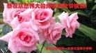 Published on 10/3/2017 ���ֹ�,��½�󷨵��ӹ�ףʦ�������(28��)
