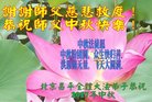Published on 10/3/2017 ���ֹ�,��½�󷨵��ӹ�ףʦ�������(28��)