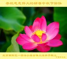 Published on 10/3/2017 ���ֹ�,��½�󷨵��ӹ�ףʦ�������(28��)