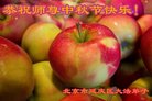 Published on 10/3/2017 ���ֹ�,��½�󷨵��ӹ�ףʦ�������(28��)