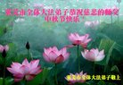 Published on 10/3/2017 ���ֹ�,��½�󷨵��ӹ�ףʦ�������(30��)