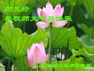 Published on 10/3/2017 ���ֹ�,��½�󷨵��ӹ�ףʦ�������(31��)