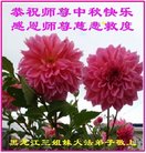Published on 10/3/2017 ���ֹ�,��½�󷨵��ӹ�ףʦ�������(31��)