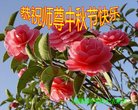Published on 10/3/2017 ���ֹ�,��½�󷨵��ӹ�ףʦ�������(31��)