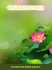 Published on 10/3/2017 ���ֹ�,��½�󷨵��ӹ�ףʦ�������(28��)