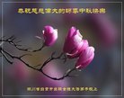 Published on 10/3/2017 ���ֹ�,��½�󷨵��ӹ�ףʦ�������(28��)
