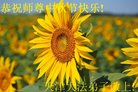 Published on 10/3/2017 ���ֹ�,��½�󷨵��ӹ�ףʦ�������(31��)
