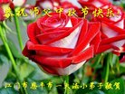 Published on 10/3/2017 ���ֹ�,��½�󷨵��ӹ�ףʦ�������(30��)