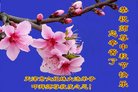 Published on 10/3/2017 ���ֹ�,��½�󷨵��ӹ�ףʦ�������(28��)