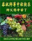 Published on 10/2/2017 ���ֹ�,���󷨵��ӹ�ףʦ�������(19��)