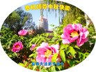 Published on 10/3/2017 ���ֹ�,��½�󷨵��ӹ�ףʦ�������(27��)