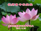 Published on 10/3/2017 ���ֹ�,��½�󷨵��ӹ�ףʦ�������(27��)
