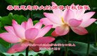 Published on 10/3/2017 ���ֹ�,��½�󷨵��ӹ�ףʦ�������(27��)