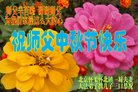 Published on 10/2/2017 ���ֹ�,��½�󷨵��ӹ�ףʦ�������(30��)