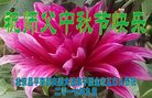 Published on 10/2/2017 ���ֹ�,��½�󷨵��ӹ�ףʦ�������(27��)