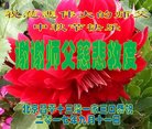 Published on 10/2/2017 ���ֹ�,��½�󷨵��ӹ�ףʦ�������(27��)