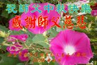 Published on 10/2/2017 ���ֹ�,��½�󷨵��ӹ�ףʦ�������(30��)