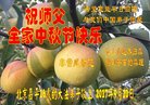 ֹ,󷨵ӹףʦ(22)