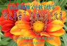 Published on 10/2/2017 ���ֹ�,��½�󷨵��ӹ�ףʦ�������(30��)